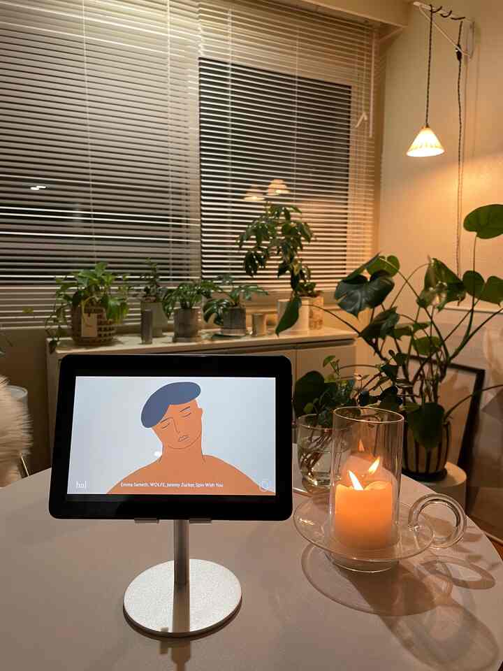 植物見ながらお酒飲んでまったりする時間が好き
好きな曲🎧や動画もここで観ること多いです。
ferm livingのキャンドルホルダーお気に入りです
#インテリア #インテリア植物 #植物 #植物インテリア #観葉植物 #間接照明 #間接照明インテリア #fermLIVING #iittala 