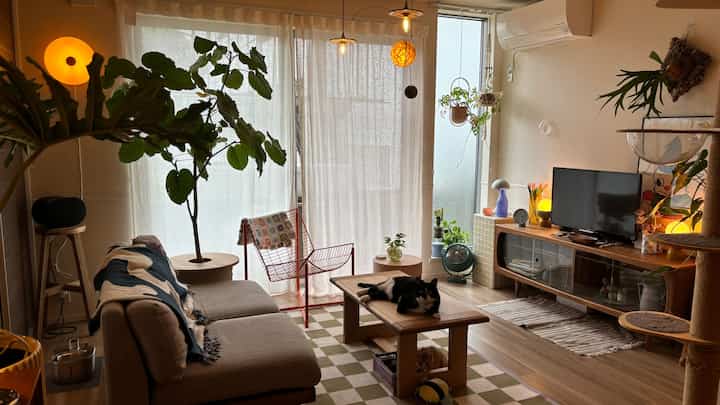 Beige and natural toned living room featuring wooden furniture, a cat, leafy plants, and warm indirect lighting creating cozy atmosphere