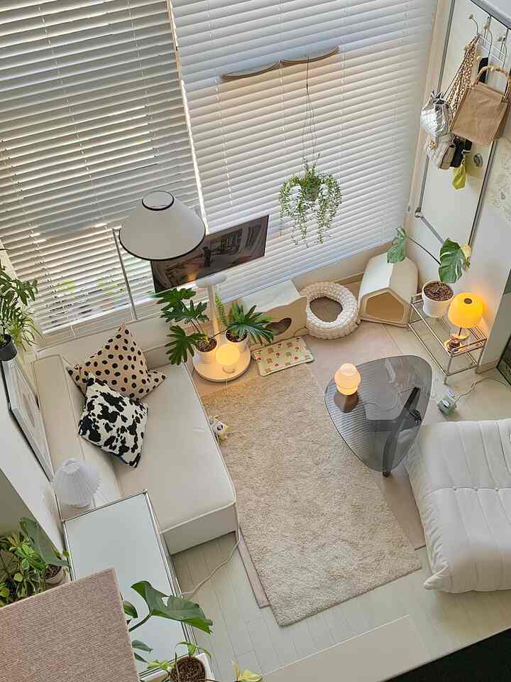 白と木目調が調和したロフトのワンルームリビング、モジュラーソファ、ラグ、植物、ペット用品が配置された居心地の良い空間
