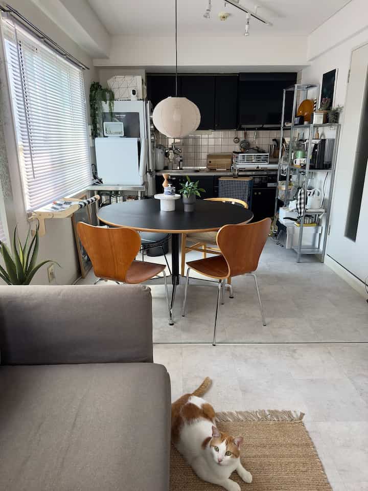 #ダイニングインテリア 
#ダイニング 
#一人暮らし 
#猫と家 
#1LDK 
#シンプルなインテリア 
#丸テーブル 