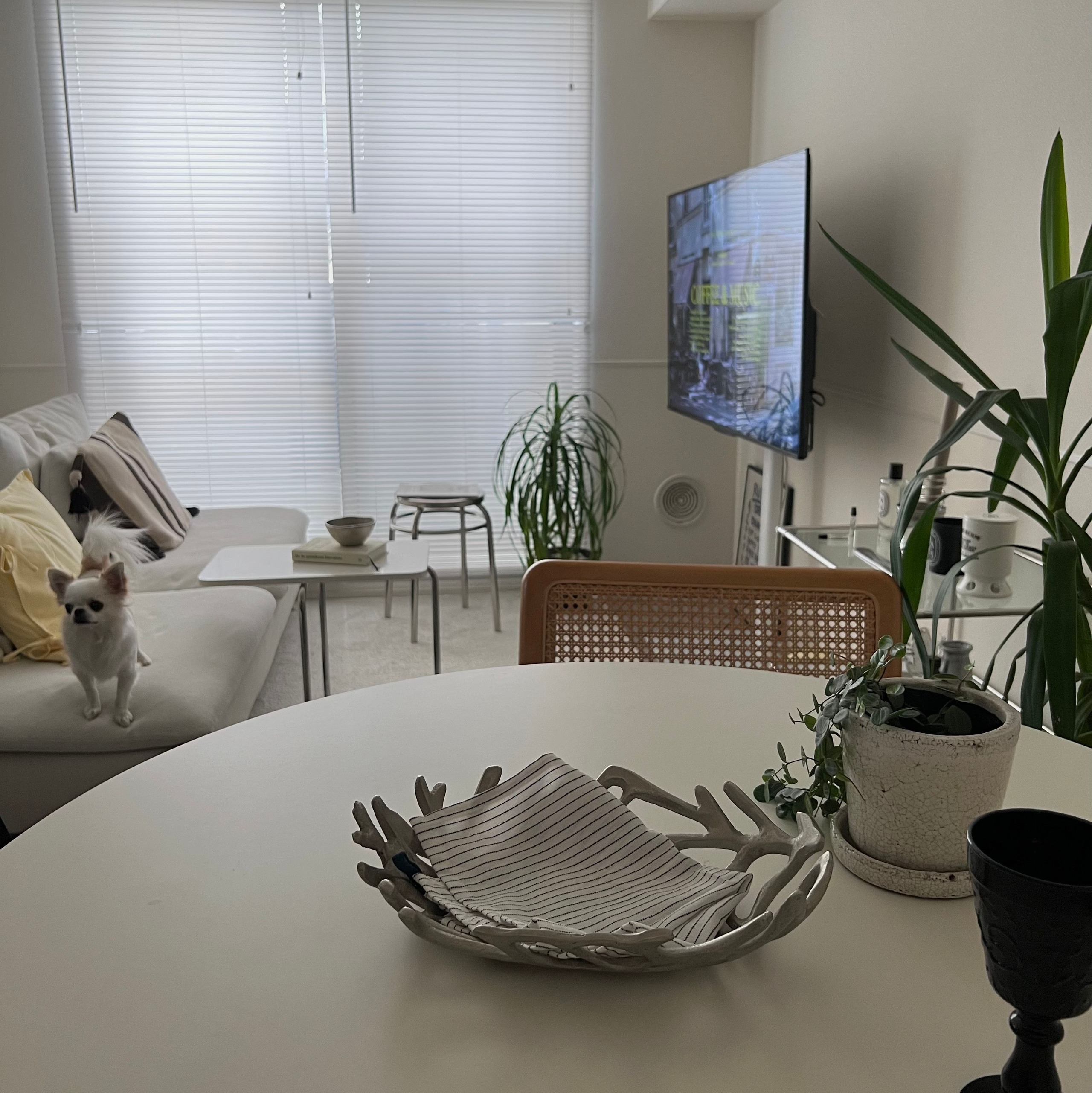 ACTUS MARSHAL TWIG オーバルトレイ | 小物入れ・トレイ | Ohouse