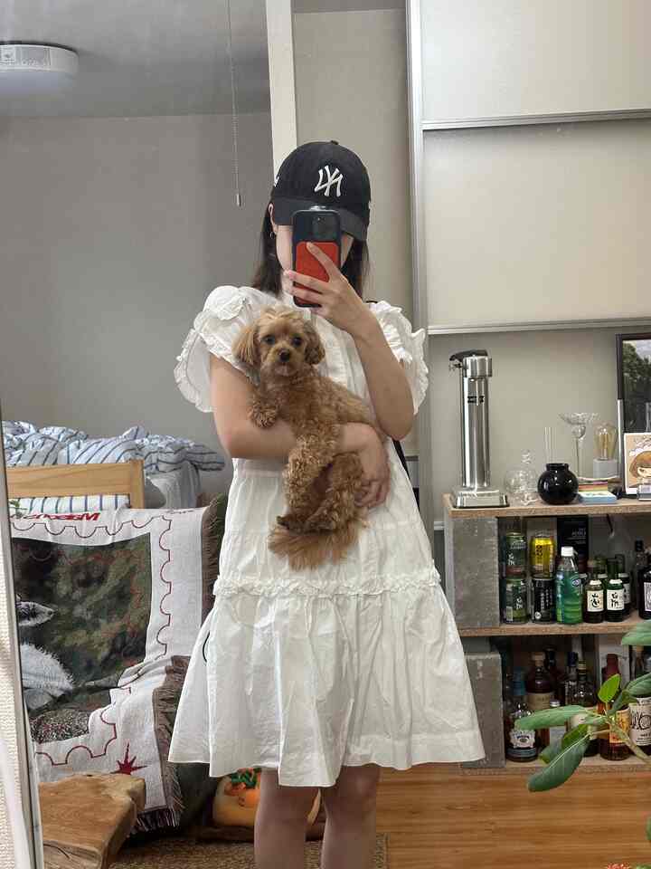 昨日シャンプーと顔まわりカットしたら顔がおかしくなってしまった犬さん

#犬のいる生活#リビング