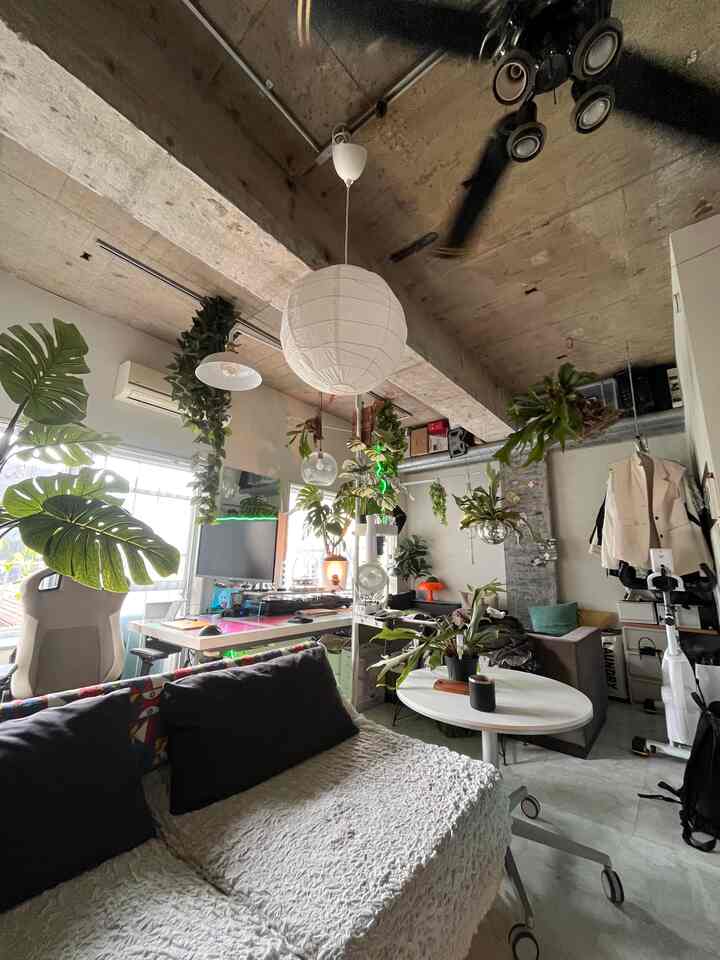 White and green toned studio apartment featuring multiple plants and a pendant light with a natural, compact atmosphere