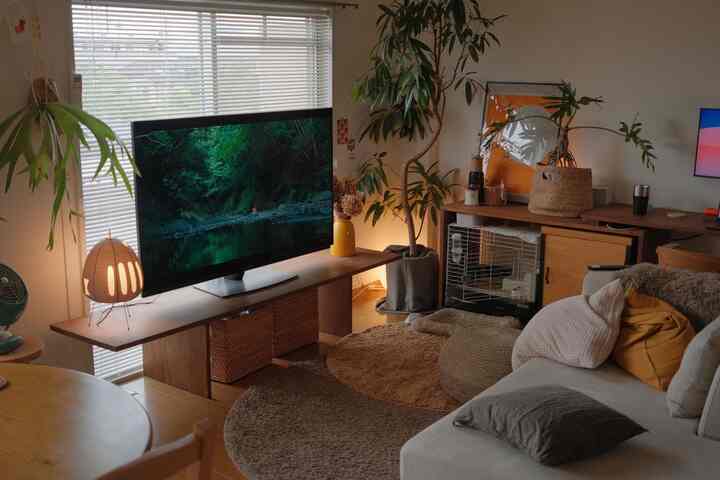 TV itu besar

#hidup
#set TV 
#buatan sendiri
#alami
#tanaman