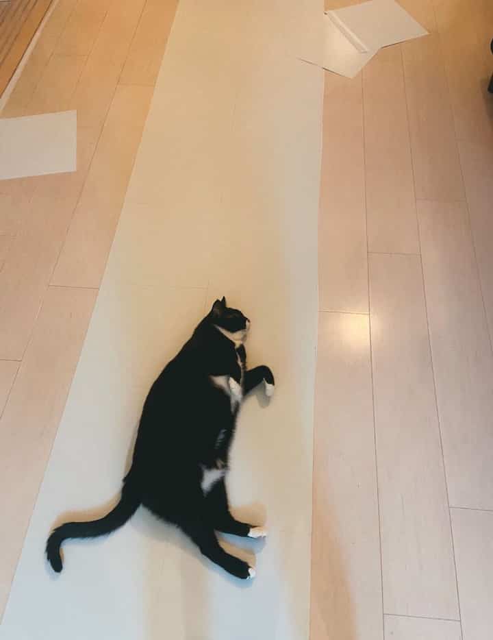 
賃貸の床にタイルを貼ってDIYしました⚒️

PRD-401を使用してます！

100均のマスキングテープを貼って、その上から両面テープを貼って、タイルを敷き詰めています！

マスキングテープは簡単に剥がせるので現状回復バッチリです！


#床タイル #床DIY #賃貸DIY #タイルの床 