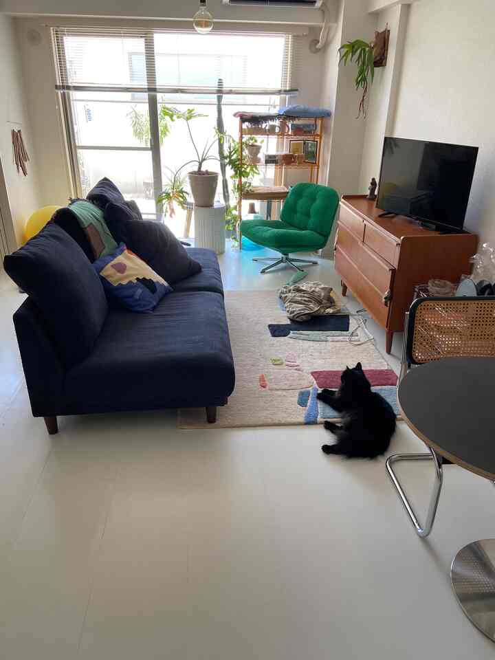 ソファは肘置きのないタイプ🛋️
意外とコンパクトで場所取らないので良いです

#ソファ #ローソファ #IKEA #IKEAソファ 