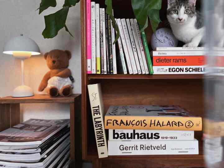 A cozy space featuring a brown wood-toned bookshelf, white walls, a fluffy cat, and charming decorative objects