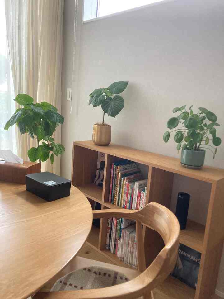Natural wood tones and beige hues define a dining room featuring a round dining table, Muji stacking shelf, and various leafy plants for a calm atmosphere