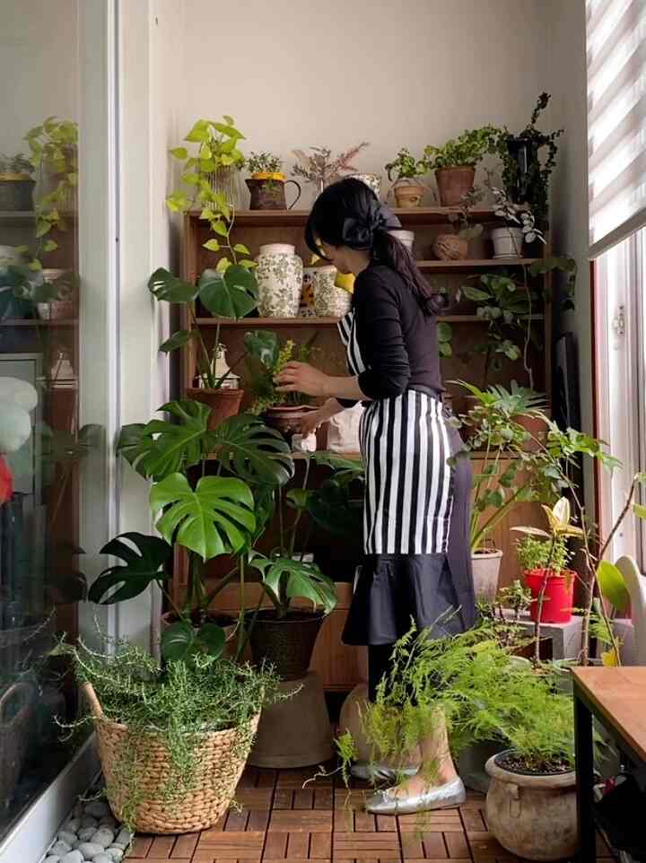 ＃私たちの家フォトゾーン私が一番愛する空間❤️ここで毎回違うが、植物に会いに行くとき、私もきれいに改装していきたいです🥰フォトゾーンらしい😂😂


#シックモーニング
＃植物＃自給自足＃自給自足ライフ 
#食執事
#plants
#フランテリア
#ベランダ 
#ホームガードニング 
#植物物語 
#植物執事 
#桃園