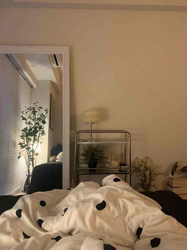 白と黒のトーンのワンルーム寝室、大きなベッドと鏡、植物が配置された雰囲気のあるインテリア