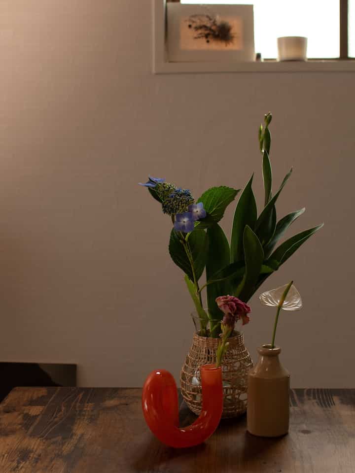 ACTUSのサマーセールでフラワーベースたくさん買った🟠
インスタにリールもあげてるから良かったら見てください🙏
　　
大満足なお買い物🙆‍♀️
　　
#フラワーベース #japandi #和モダン #Japanese #お花 #flowers #観葉植物 #一人暮らし #賃貸 #ワンルーム #ACTUS #HAY #IKEA #KANADEMONO #サンゲツ #京都暮らし