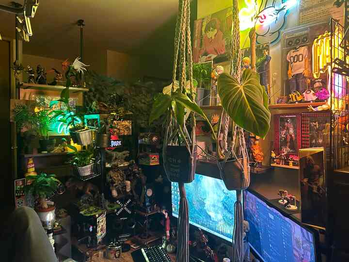 Compact, cozy game room with neon lighting, plants, and numerous collectibles creating a hobby-focused ambiance