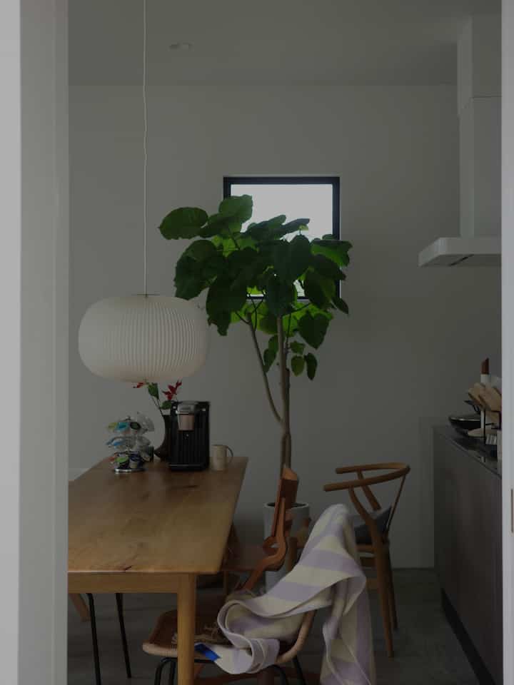 White-walled dining room with wood tone dining table, elegant pendant light and green plant, featuring a compact and natural atmosphere