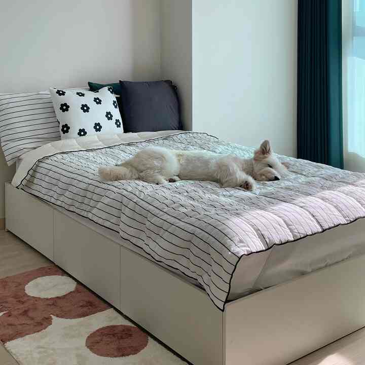 リボン付き クッション・座布団カバー兼用［18色］を使ったコーディネート 3