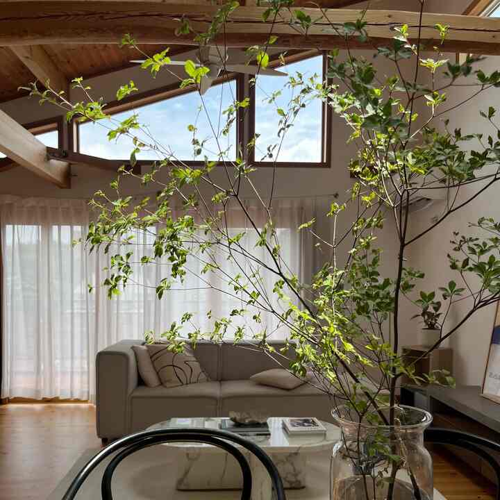 梅雨の合間の晴れに📷✨

#リビング #THONET #北欧インテリア #北欧 #戸建て #ドウダンツツジ #Theposterclub