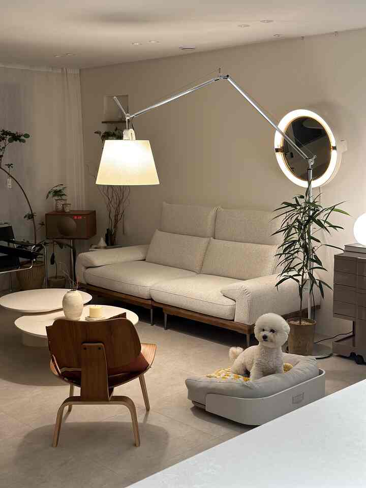 明るいホワイトトーンのリビング、ベージュのソファとウッドのアームチェア、フロアランプ、そして寛いでいる犬がいる印象的な空間