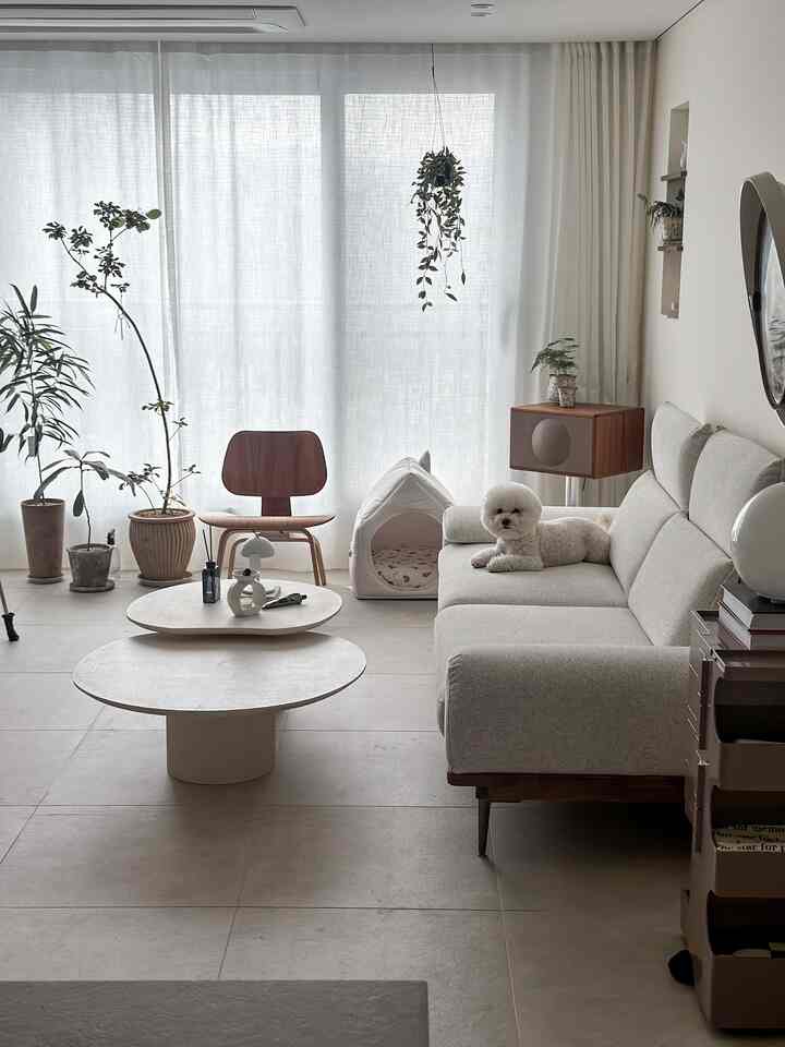 明るいホワイトトーンのリビングルーム、ナチュラルモダンなソファと木製のアームチェア、コーヒーテーブルが配置された落ち着いた空間。白い犬がソファに横たわっている。