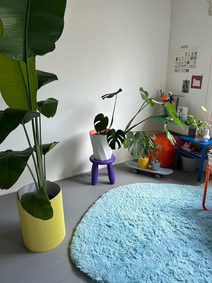 白い壁と青いラグ、多彩な植物が配置された居心地の良い小さな空間