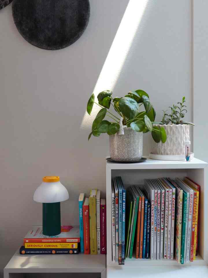 自然光が差し込む明るいホワイトトーンの空間に、棚、本棚、テーブルランプと植物が配置されたシンプルなインテリア