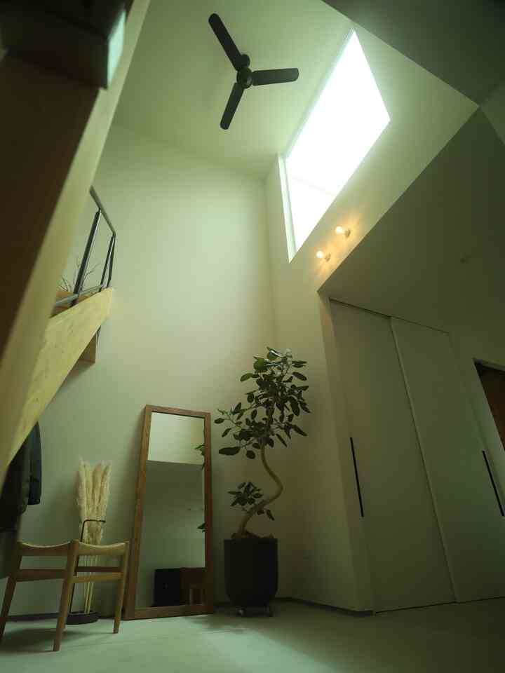 明るいホワイトの色調の玄関、シンプルな家具と植物、鏡が配置された落ち着いた雰囲気のインテリア