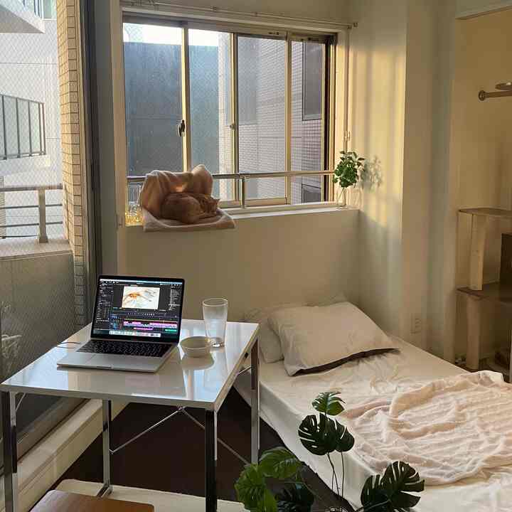 Natural sunlight-filled compact studio bedroom with a cat bed on the windowsill, cat tower on the right, and a white desk with laptop for a simple, cozy atmosphere