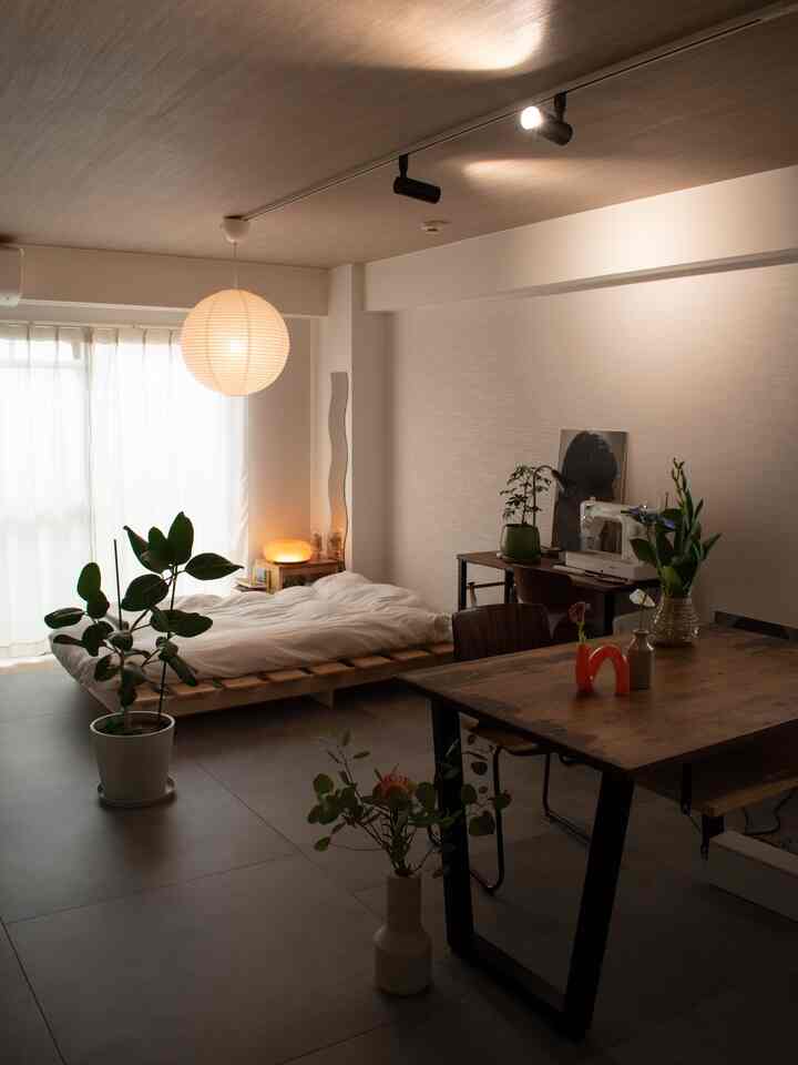 京都の夏は湿気が多くて人間は辛いけど、植物たちは嬉しそう🪴
　　
な気がする○
　　
#japandi #1R #一人暮らし #賃貸 #ワンルーム #賃貸ワンルーム #和モダン #観葉植物 #花 #ジャパンディ #フロアタイル #フラワーベース #HAY #KANADEMONO #ACTUS #IKEA #サンゲツ