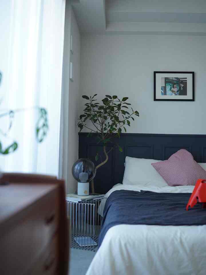 A modern bedroom in white and navy tones, featuring a side table with table lamp and an indoor plant, arranged neatly