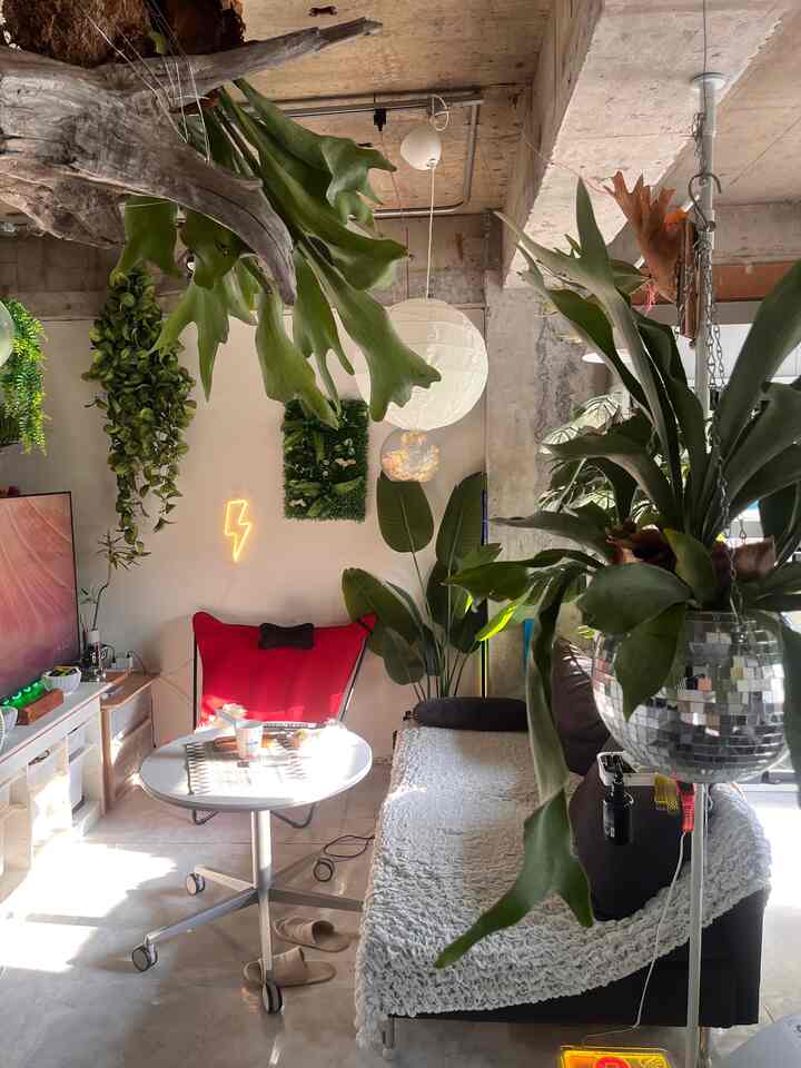 ナチュラルな色調のリビングルーム、多様な緑の植物とモダンな家具が配置された雰囲気のある空間