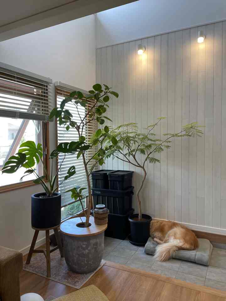 ナチュラルな木目調と白い壁が調和するバルコニー空間、ペットの犬と観葉植物が配置された落ち着いた雰囲気のインテリア