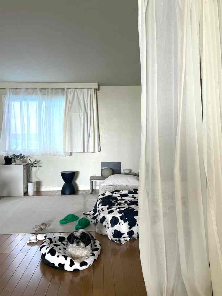 ホワイトとモノトーンの色調が広がる寝室兼リビングスペース、小さな犬と植物が配された落ち着いた二人暮らしの空間