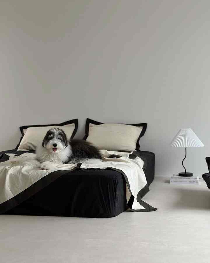 Ivory and black toned bedroom featuring a central bed with a pet dog and minimalist floor lamp, styled in modern design
