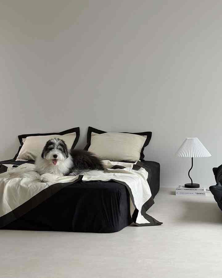Ivory and black bedroom featuring a centrally placed bed with a dog resting on it, creating a simple atmosphere
