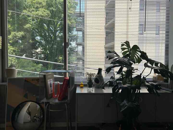 お昼13時ごろに照明つけずに
右半分ブラインドおろしている図です。
しっかり採光とれます○
#ブラインド 
#ブラインドのある生活