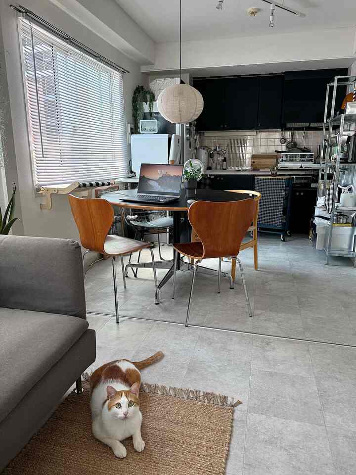 白と木目調が調和したシンプルなダイニング、丸いダイニングテーブルと木製椅子が置かれ、床には猫が座るジュートラグが見える。