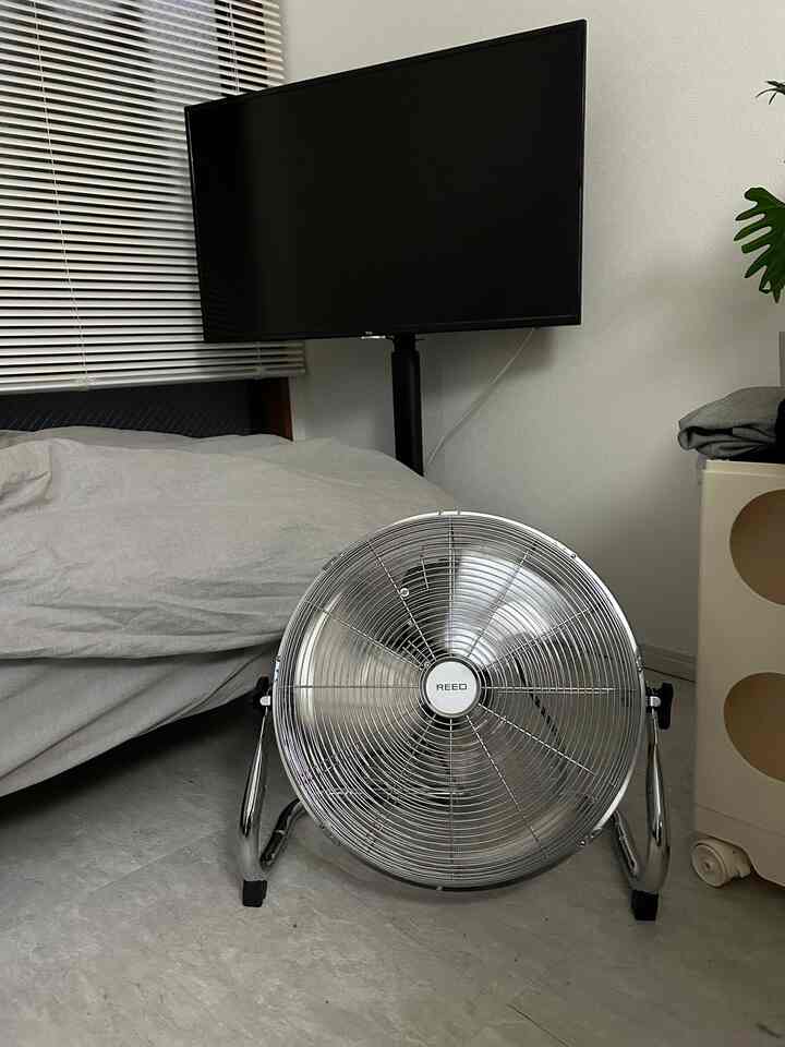 大活躍しているREEDの扇風機

#扇風機