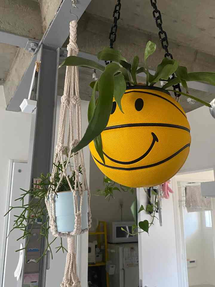 #IKEA #植物のある生活 #リノベ賃貸