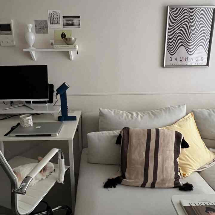 Simple white-toned living room and home office space featuring sofa, desk, and a pet dog resting on the chair