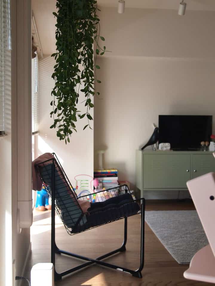 Living room with brown wood flooring and vintage green cabinet, featuring black metal armchair and large hanging plant creating a cozy vibe