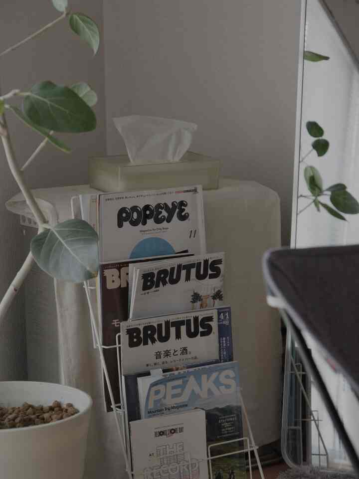 お気に入りのスペースたち◎

#雑誌収納 #マガジンラック #植物棚 #棚diy #コンクリートブロック #OSB合板 #オーディオ