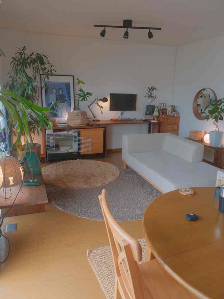 ナチュラルトーンの円形のリビング、グレーのソファと円形ラグ、ダイニングテーブルと植物が調和した印象的な空間