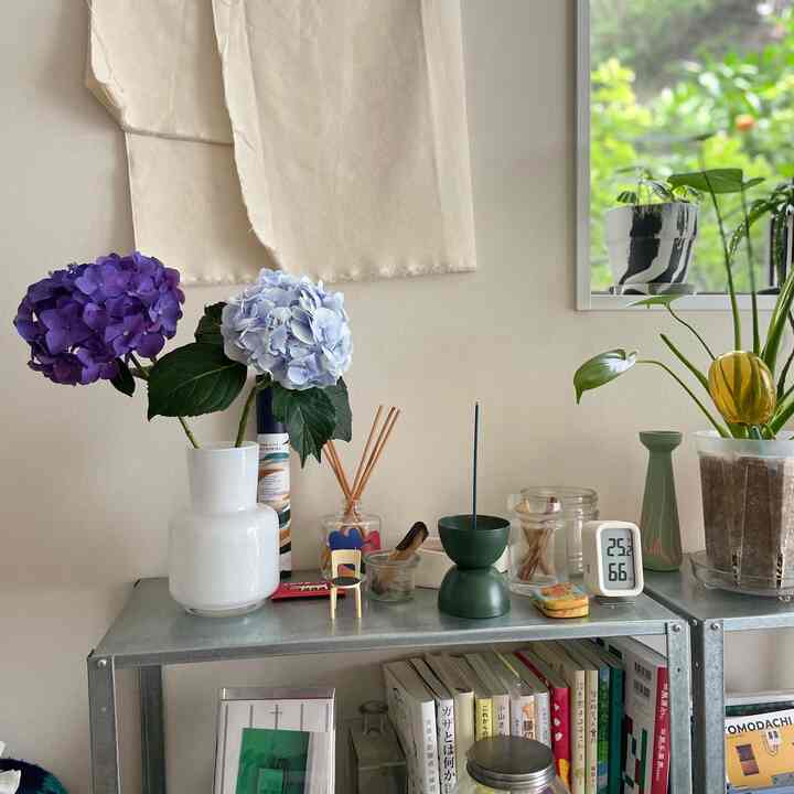 ナチュラルな色調の玄関スペース、メタル棚に配置された花瓶と観葉植物が調和する雰囲気のあるインテリア