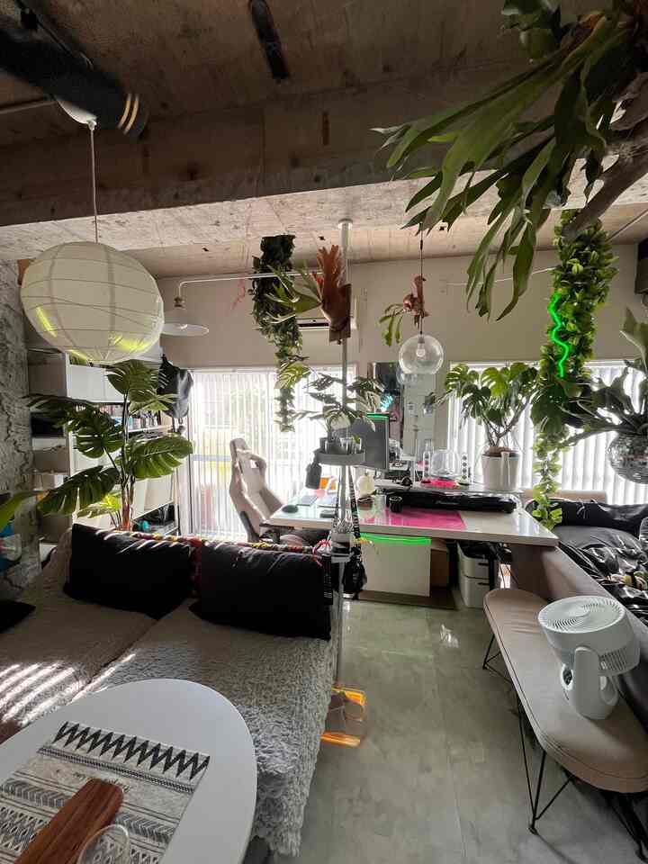 今日は過ごしやすい気候ですね。若干雨が降ったみたいですが。

昨晩の風でバルコニーのシートが見事に落ちました...
#賃貸 #ワンルーム #観葉植物 #リノベーション #信じられないIKEA鉢 #IKEA 