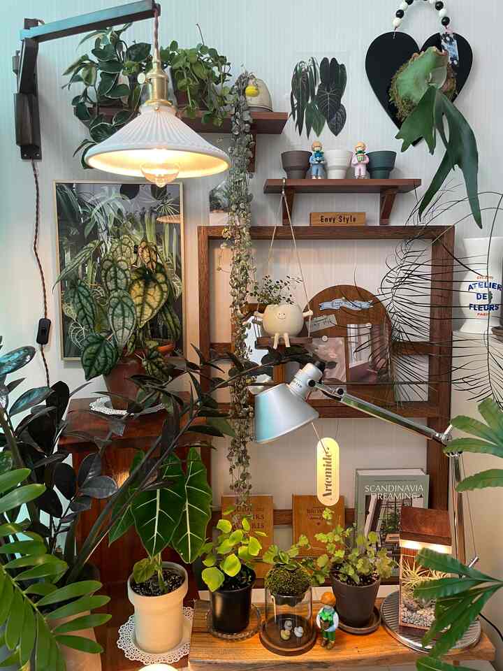 #今日のカット
#金曜庭園

#金曜日のみ👋🏻
金曜日に落ちる悲しい金曜日の子供たち〜🫶🏻
フライデーエン_＃フライデック
金曜日は_＃ロップチェイン
仏金円_＃ブラック金銭
そして相変わらずの筋肉の骨髄底＃パイパーシルバーティクム
私の手の中の小さな島＃フローティングアイランド 
#大葉風蘭

#happyfriday 🤎🤎🤎

#ウッドインテリア
#キッチンガーデン
#ウォールテリア
#ウッドインテリア
#今日の癒し
#今日の庭
#今日の私の家
＃私たちの家フォトゾーン
#ナドクリエーター 
＃かわいいテム 
#メイド