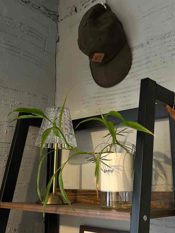 寝室の一角に佇むヤシの仲間🌿

#寝室の家具 #一人暮らし #観葉植物 #オープンラック #関節照明 