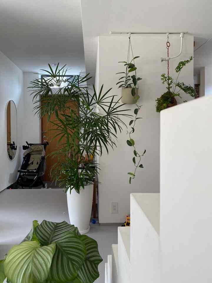 The living/dining room is directly connected to the entrance.
Naturally, the entrance is visible from the living/dining room, but it doesn't bother me much because the outside of the entrance is a private space and not a road.
It's nice to be able to see the faces of family members when they come home.

#Full-length mirror #ダクトレール 
#Entrance #階段 
