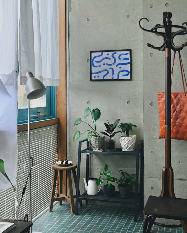 Saya akhirnya meletakkan rak di zona tanaman dan terlihat jauh lebih bersih🪴
Sebelum saya menyadarinya, saya mulai memiliki lebih banyak tanaman hias, dan karena tanaman ada dimana-mana di rumah saya, saya memutuskan untuk melarang pembelian tanaman tersebut untuk sementara waktu...👷

#Tanaman #観葉植物 #緑のある暮らし #植木鉢 #家具 #棚 #古道具 #古家具 #タイル #床タイル #ブラインド #照明 #間接照明 #間接照明インテリア #インテリア #IKEA #IKEA棚