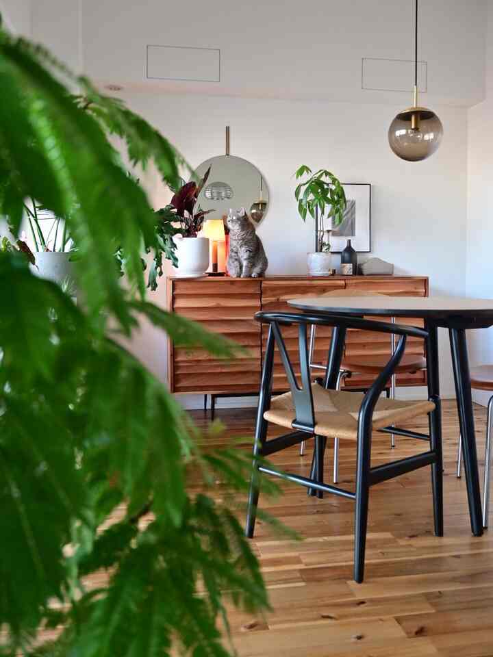 Natural living room with wood tone flooring and white walls, featuring a cat on a wooden sideboard, multiple plants, and a pendant light
