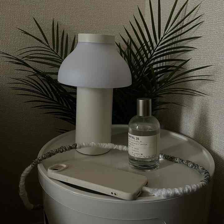 白とナチュラルカラーのコンパクトな空間、白いラウンドチェストとテーブルランプ、植物が配置された雰囲気のあるインテリア