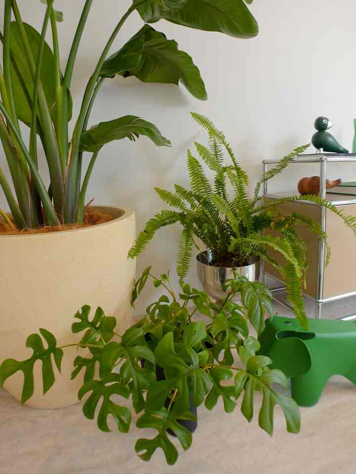 🦚🐳🐘

#usm #usmhaller #usmmodularfurniture #usmハラー #vitra #ヴィトラ #カイボイスン
#aytm