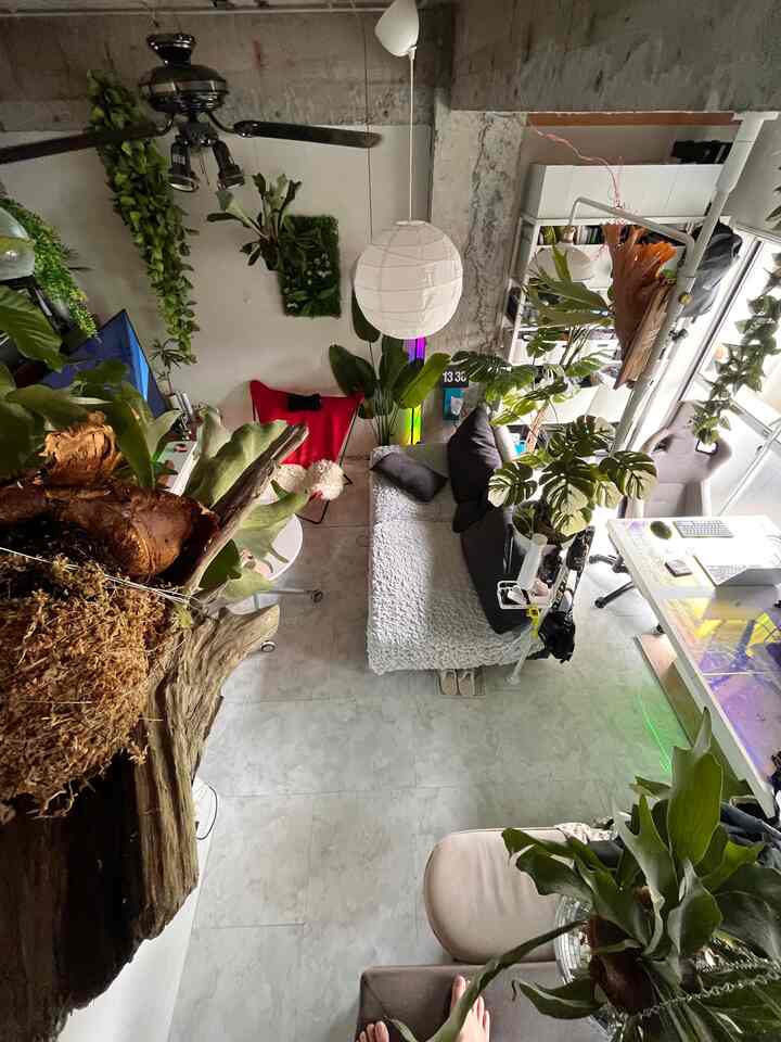 A high-ceilinged studio apartment featuring a gray sofa, gaming chair, abundant green plants, and a workspace